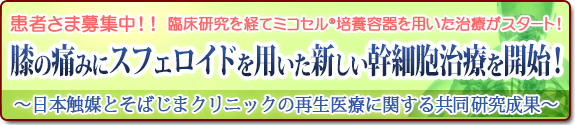 膝の痛みにスフェロイドを用いた新たな幹細胞治療！