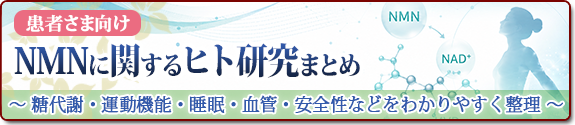 NMNに関するヒト研究まとめ（患者さま向け）